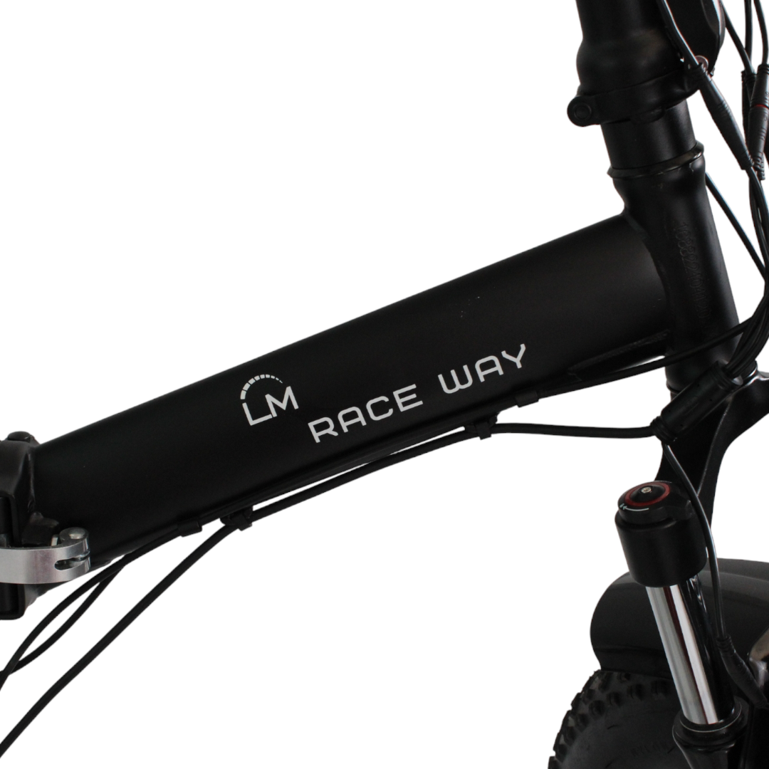 Bicicleta Eléctrica LMR-027
